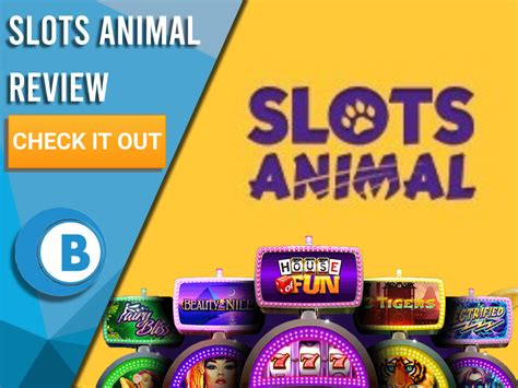 Slots animal casino El Salvador